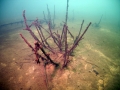 Cospudener-See-064.jpg